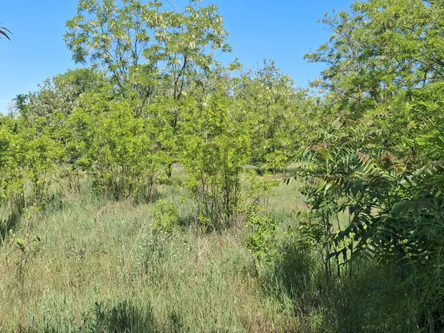 Eladó telek Balatonszemes 959 nm