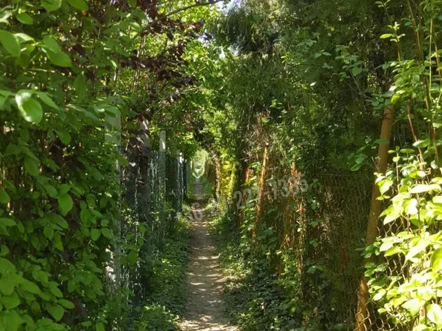 Eladó üdülő és hétvégi ház Ráckeve, Angyali-sziget 30 nm