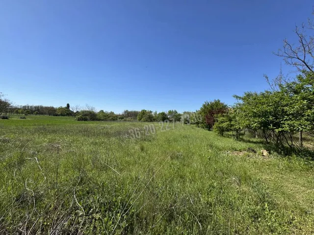 Eladó telek Ráckeve 1294 nm