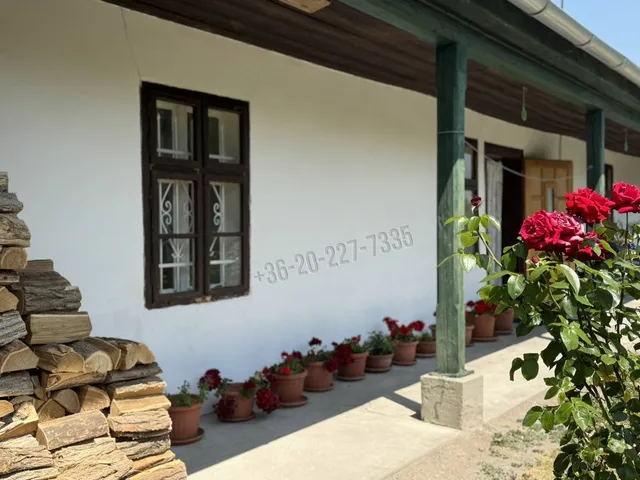 Eladó ház Ráckeve 100 nm