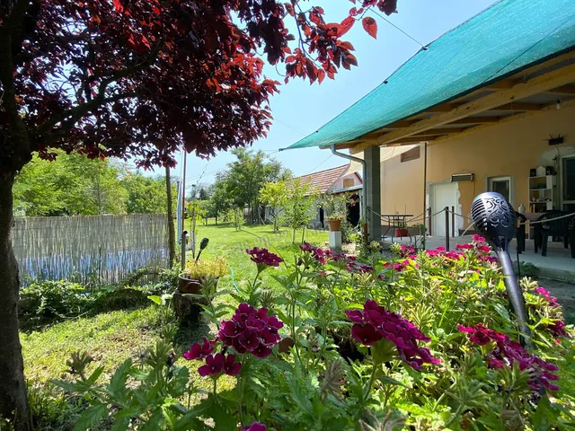 Eladó ház Ráckeve 183 nm