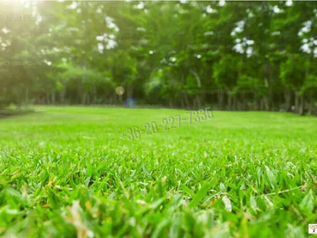 Eladó telek Ráckeve, Somlyósziget 2543 nm