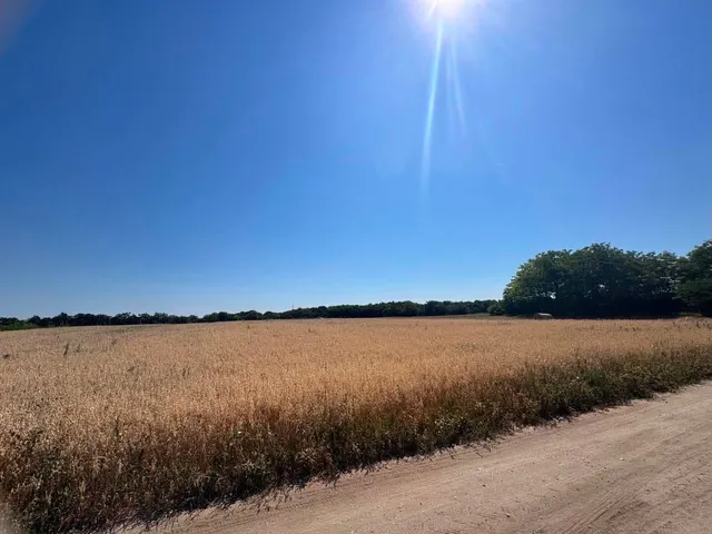 Eladó telek Dömsöd 500 nm