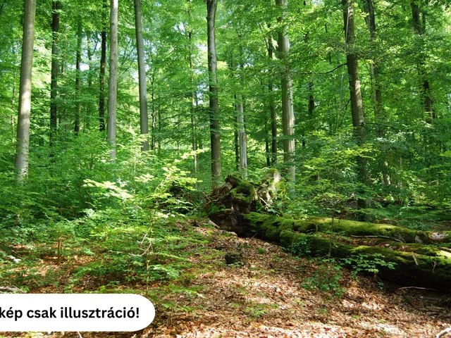 Eladó mezőgazdasági ingatlan Délegyháza 15662 nm