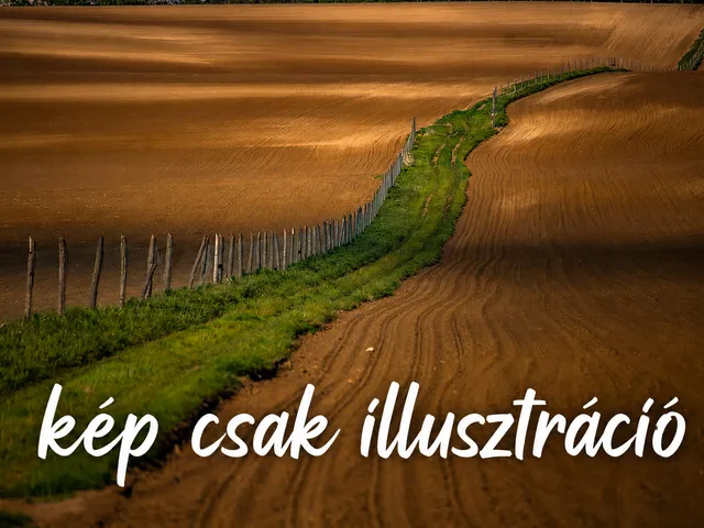 Eladó mezőgazdasági ingatlan Ráckeve 3359 nm