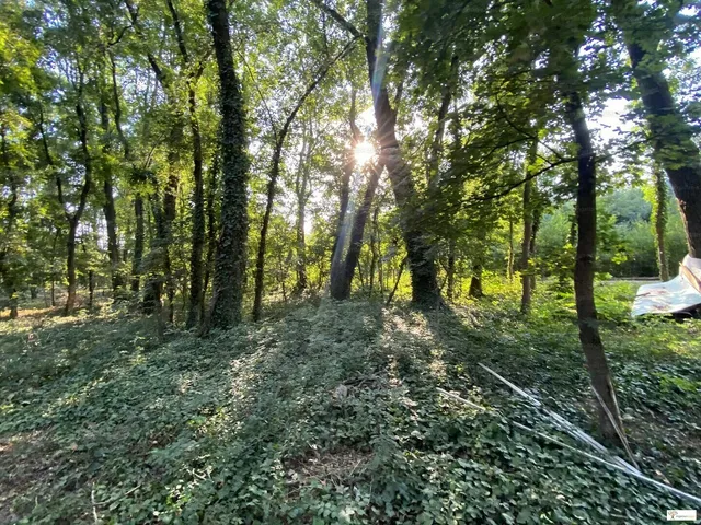 Eladó telek Kiskunlacháza 550 nm
