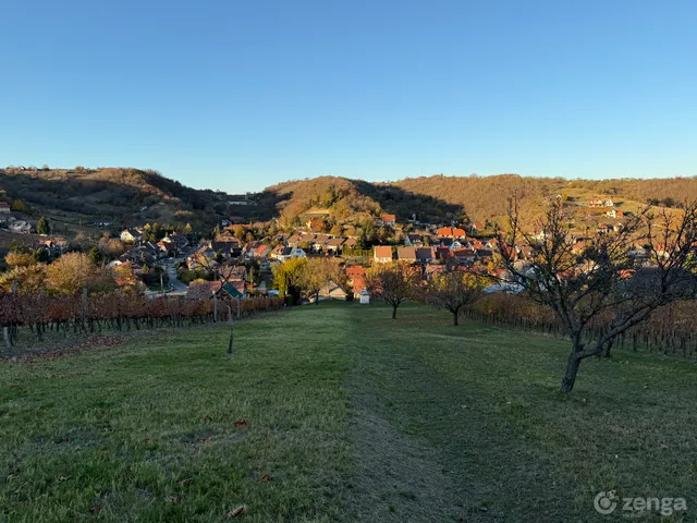 Eladó mezőgazdasági ingatlan Szekszárd, Parászta 60 nm