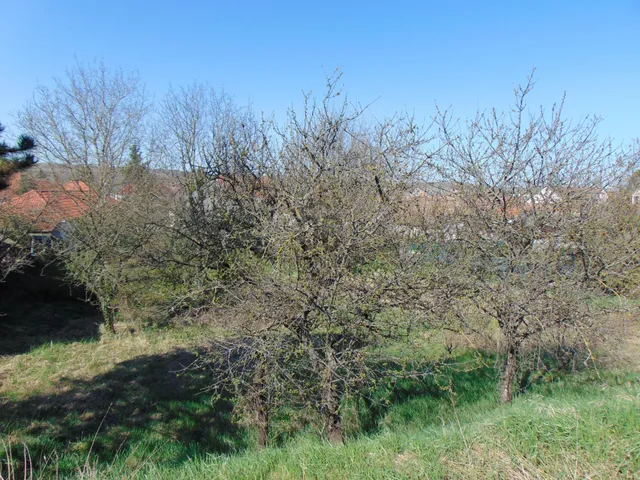 Eladó telek Andornaktálya 933 nm