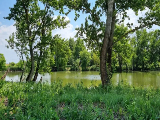 Eladó telek Mezőtúr 1120 nm