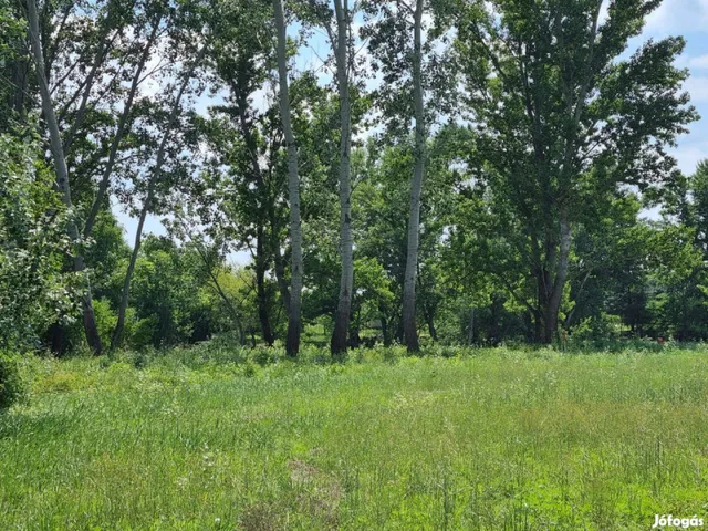 Eladó telek Mezőtúr 1192 nm