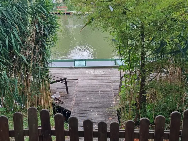 Eladó üdülő és hétvégi ház Gyomaendrőd 50 nm