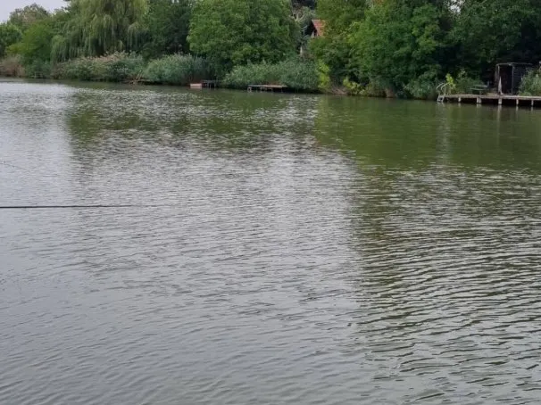 Eladó üdülő és hétvégi ház Gyomaendrőd 50 nm