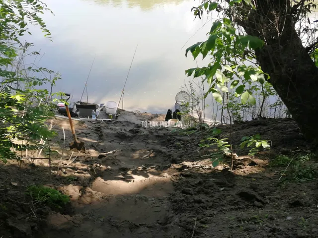 Eladó üdülő és hétvégi ház Nagykörű, Tisza-part 30 nm