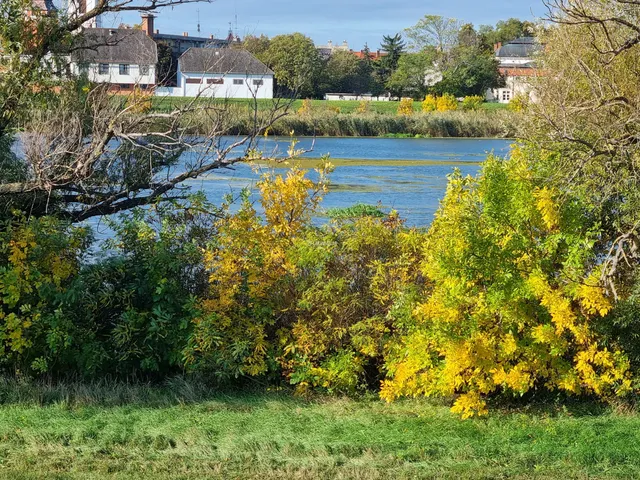 Eladó telek Mezőtúr 481 nm