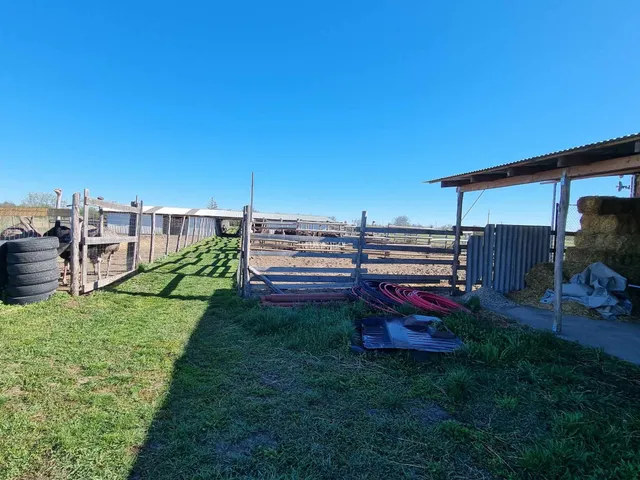 Eladó mezőgazdasági ingatlan Mezőtúr 90 nm