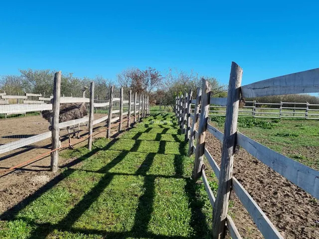 Eladó mezőgazdasági ingatlan Mezőtúr 90 nm