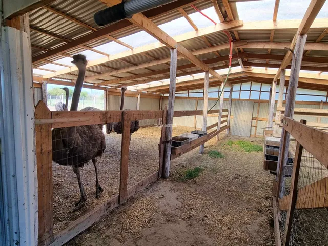 Eladó mezőgazdasági ingatlan Mezőtúr 90 nm