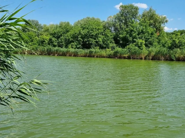 Eladó üdülő és hétvégi ház Gyomaendrőd 34 nm