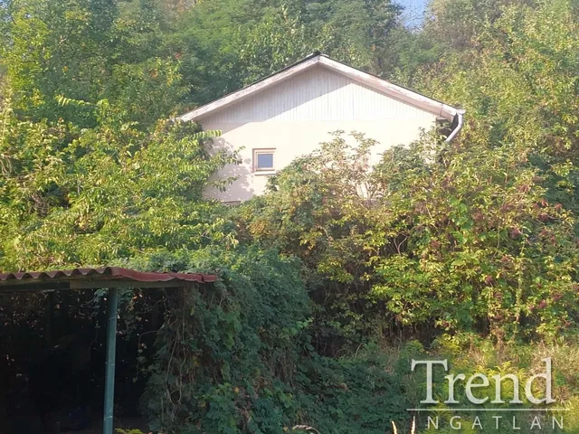 Eladó üdülő és hétvégi ház Adony 1000 nm