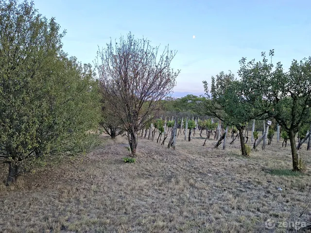 Eladó telek Érd, Kálvária-hegy 910 nm