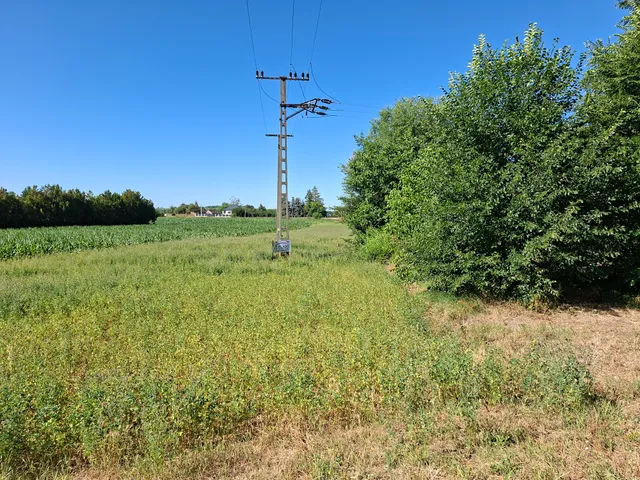 Eladó telek Örkény 2888 nm