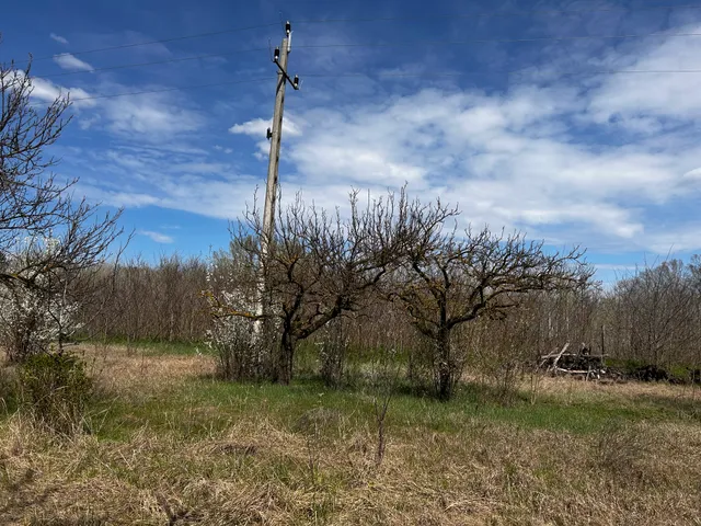 Eladó mezőgazdasági ingatlan Lajosmizse, 2 33380 nm