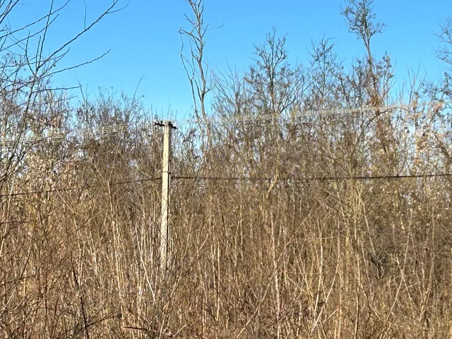 Eladó telek Dabas, Dabasiszőlők 13124 nm