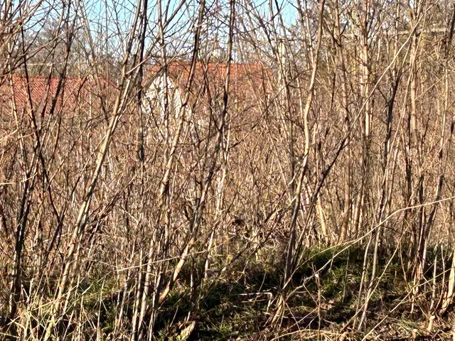 Eladó telek Dabas, Dabasiszőlők 13124 nm