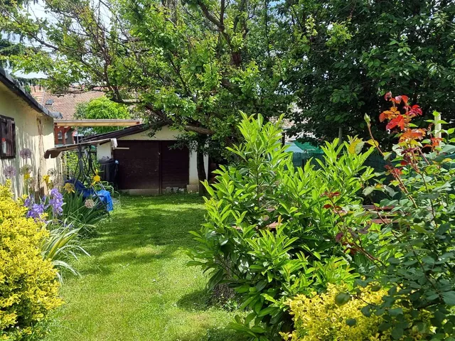 Eladó lakás Pécs, B. utca 40 nm
