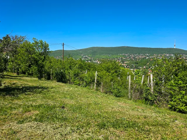 Eladó telek Pécs, Bogár dűlő 775 nm