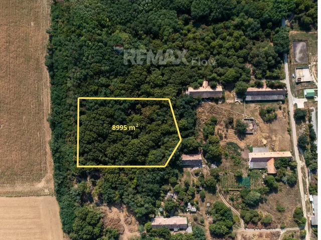 Eladó telek Szentlőrinc 8995 nm