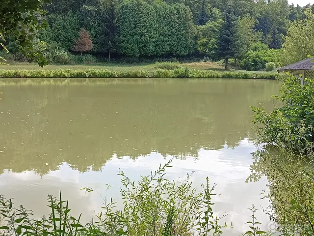 Eladó telek Babosdöbréte, Széchenyi utca 40. 3111 nm