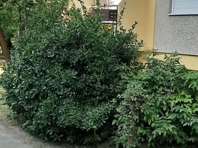Eladó lakás Debrecen, Tócóskert 54 nm