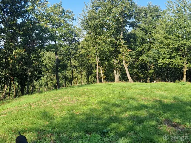 Eladó mezőgazdasági ingatlan Becske 27000 nm