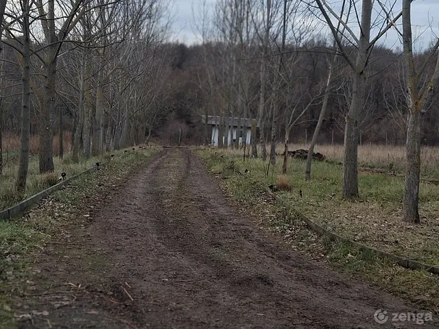 Eladó mezőgazdasági ingatlan Szanda 100 nm