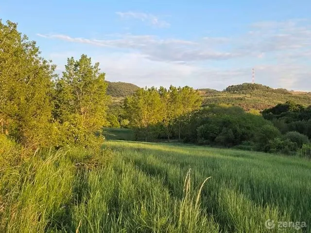Eladó mezőgazdasági ingatlan Szanda 6900 nm