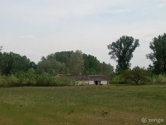Eladó mezőgazdasági ingatlan Ágasegyháza 84000 nm