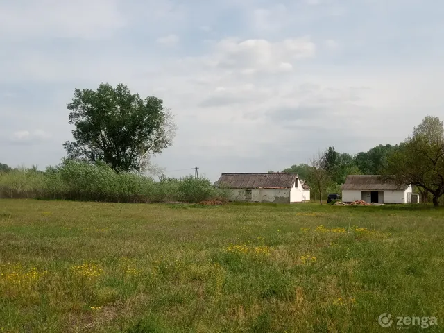 Eladó mezőgazdasági ingatlan Ágasegyháza 60000 nm