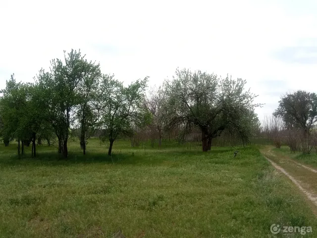 Eladó mezőgazdasági ingatlan Ágasegyháza 24000 nm