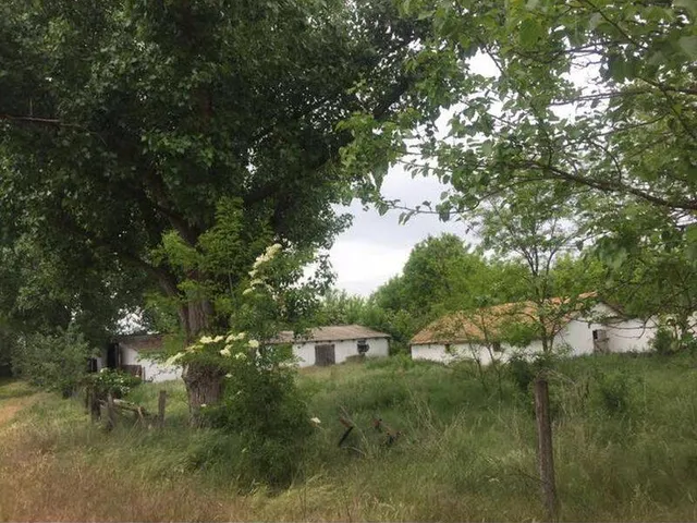 Eladó mezőgazdasági ingatlan Sükösd 7051 nm