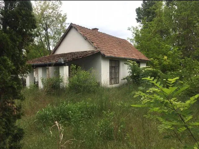 Eladó mezőgazdasági ingatlan Sükösd 7051 nm