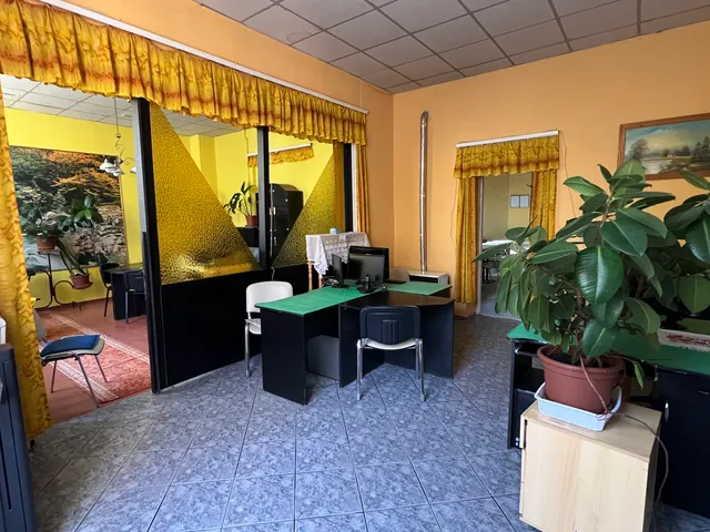 Eladó kereskedelmi és ipari ingatlan Baja 217 nm