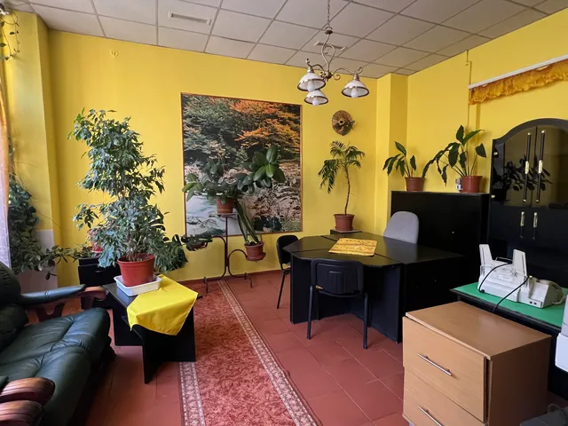 Eladó kereskedelmi és ipari ingatlan Baja 217 nm