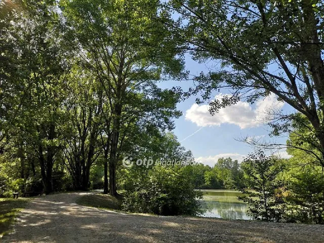 Eladó üdülő és hétvégi ház Takácsi 350 nm