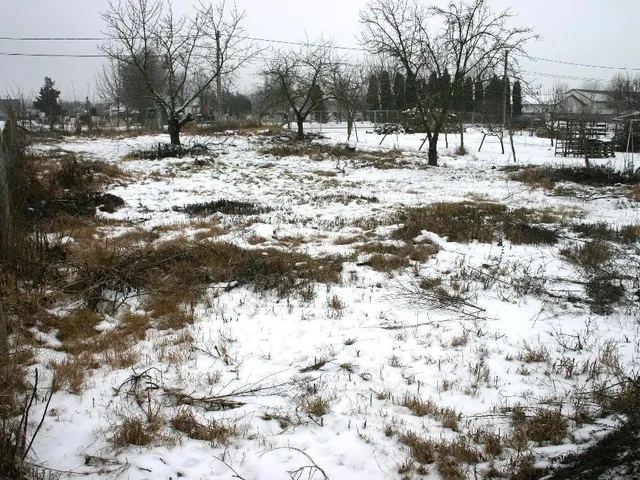 Eladó telek Dunaszeg 719 nm