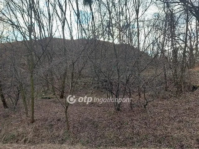 Eladó telek Tarjánpuszta 95989 nm