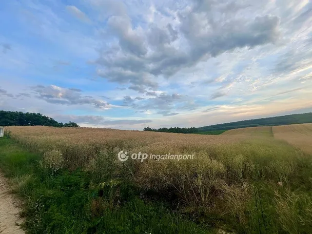 Eladó telek Sokorópátka 7500 nm