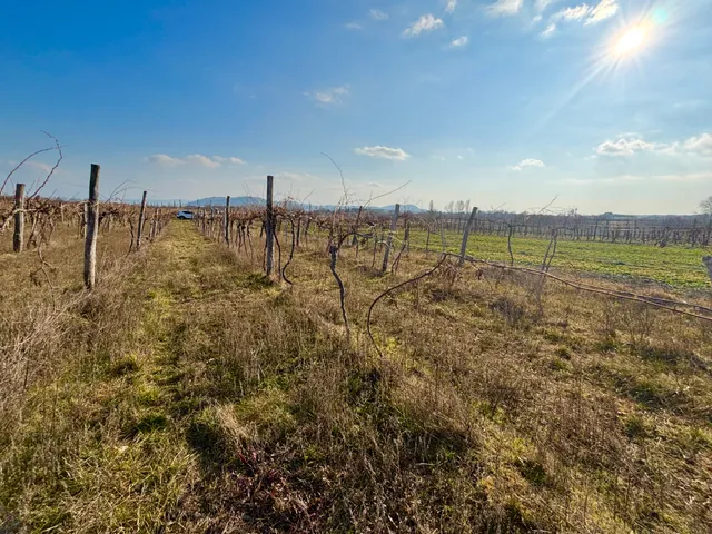 Eladó mezőgazdasági ingatlan Balatonfüred, Ófalu 4554 nm