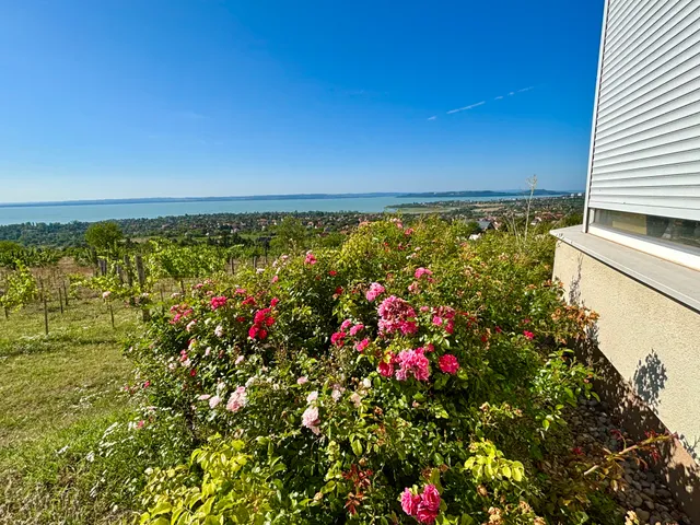 Eladó ház Csopak 145 nm