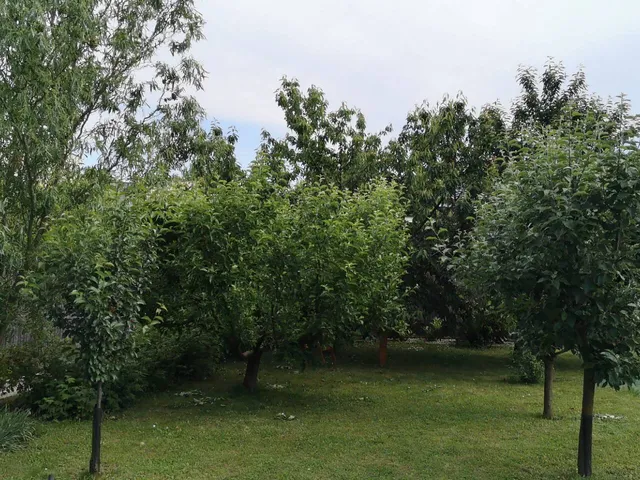 Eladó ház Szombathely 166 nm